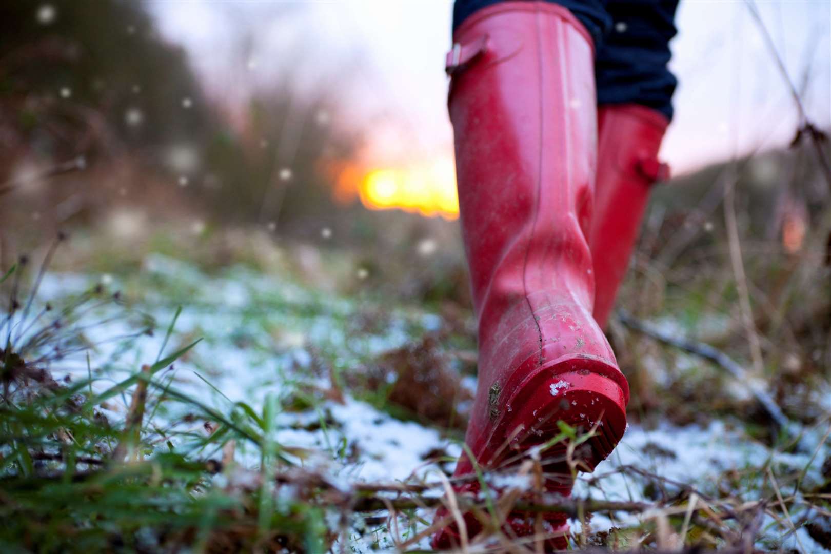 Cold air from the Arctic is to make the last week of April a chilly one. Image: iStock.