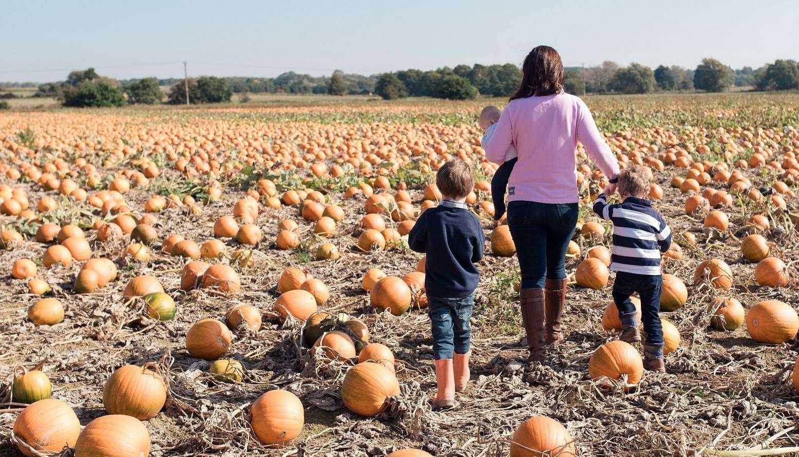 Pick your own pumpkin at Sevington, Ashford Picture: Inga Keyes