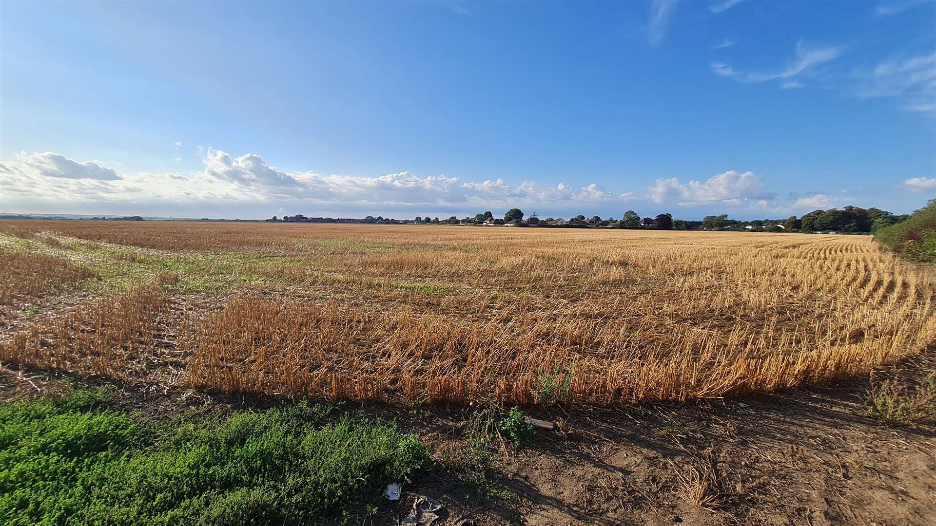 The farmland overlooking Pegwell Bay near Ramsgate which Fernham Homes wants to develop