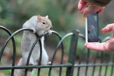 We need your quirky and newsy pictures. Stock image