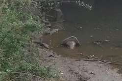 Carl Lewis, the Tonbridge flood warden has approached the EA about debris in the River Medway