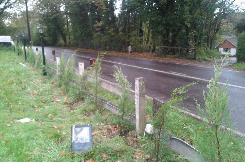 Conifers outside Mehfil Indian Restaurant before they were stolen