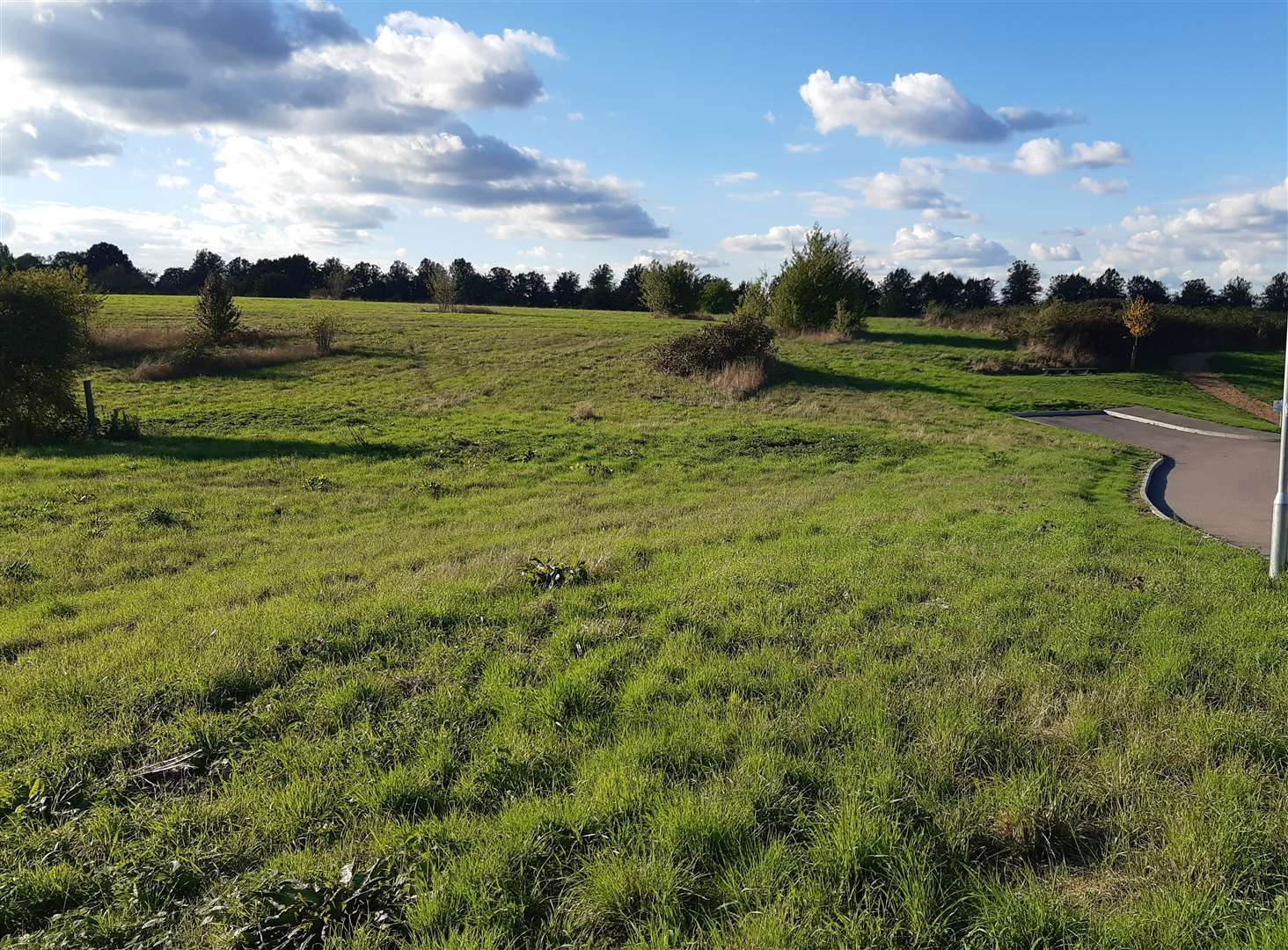 Part of the proposed Village Green at Bunyards Farm