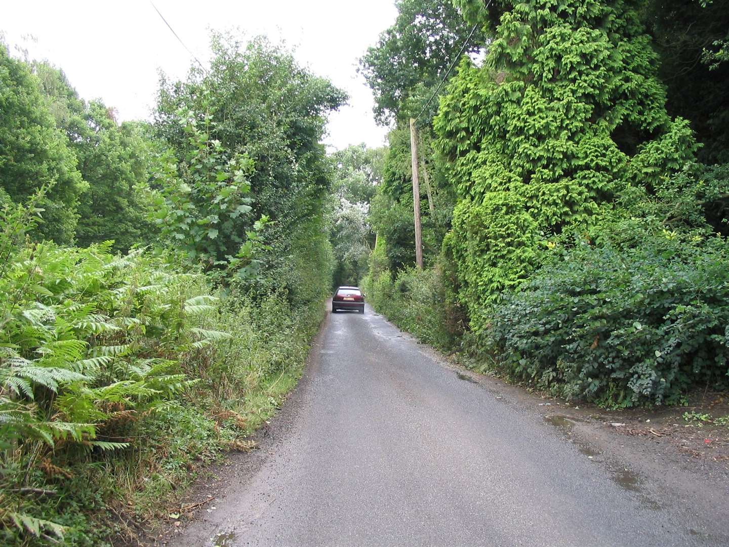 Gravelly Bottom Road in Kingswood