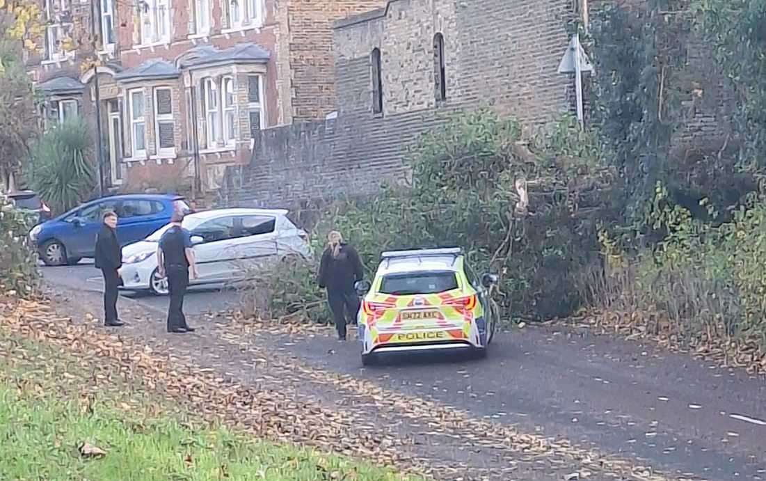 A tree was blocking Ospringe Road, in Faversham. Picture: Cheryl Harris