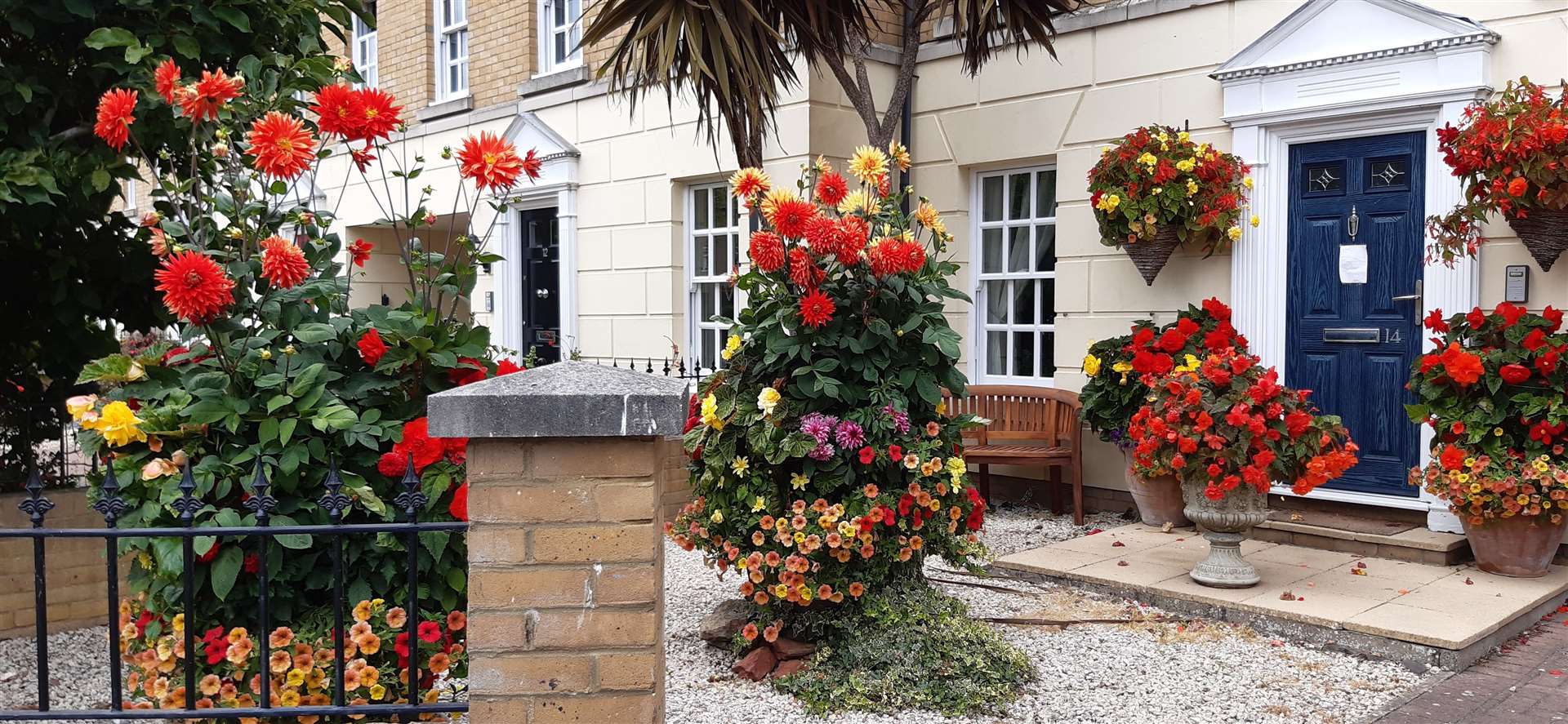 Ciara Lanphier of Ardent Avenue was the Lower Walmer winner of the best container garden