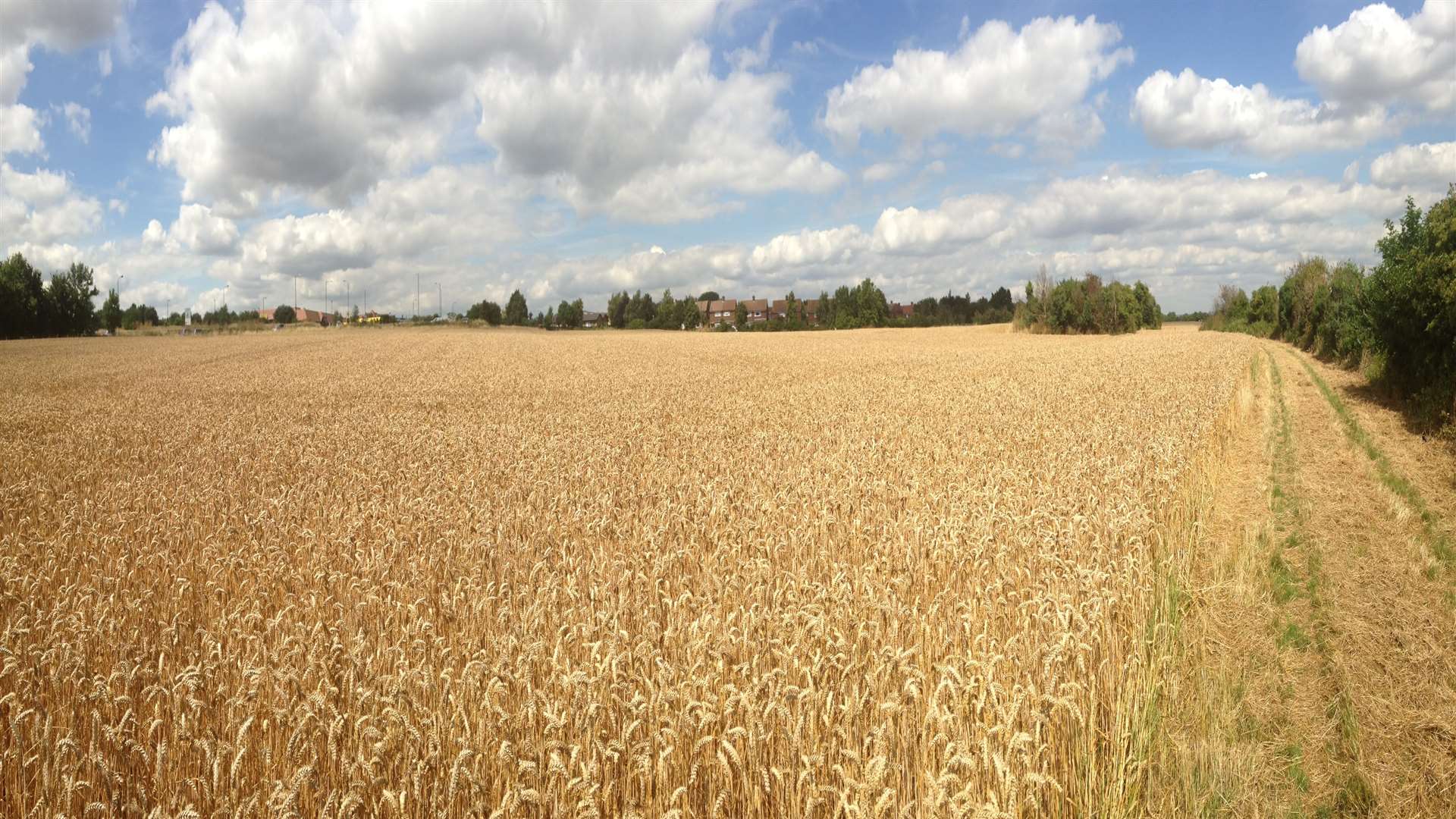 I remember when all this was cornfield: Where the new homes could go.