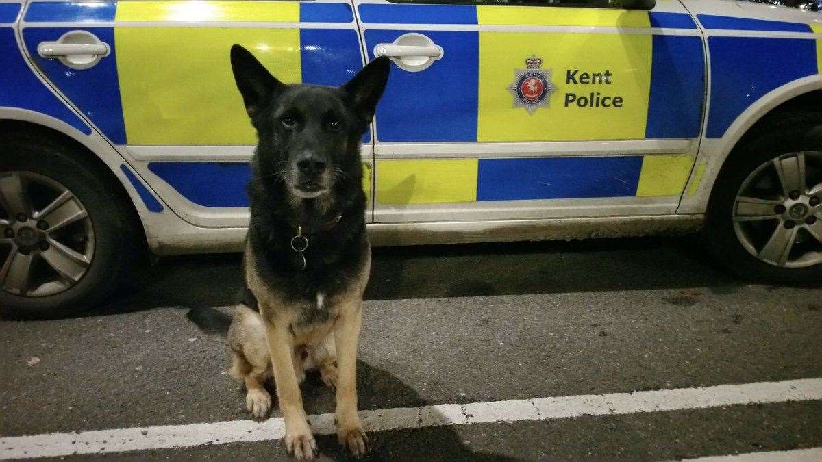 The man was arrested in Columbine Road Strood after a search was carried out by police and dog units. Picture: Kent Police tactical operations (12348528)