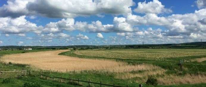 Nagden Marsh, where part of the solar farm would be built if approved