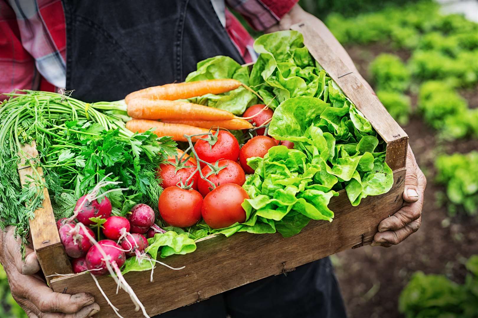 Demand for fruit, veg and household items has soared again for online delivery services ahead of the upcoming national lockdown