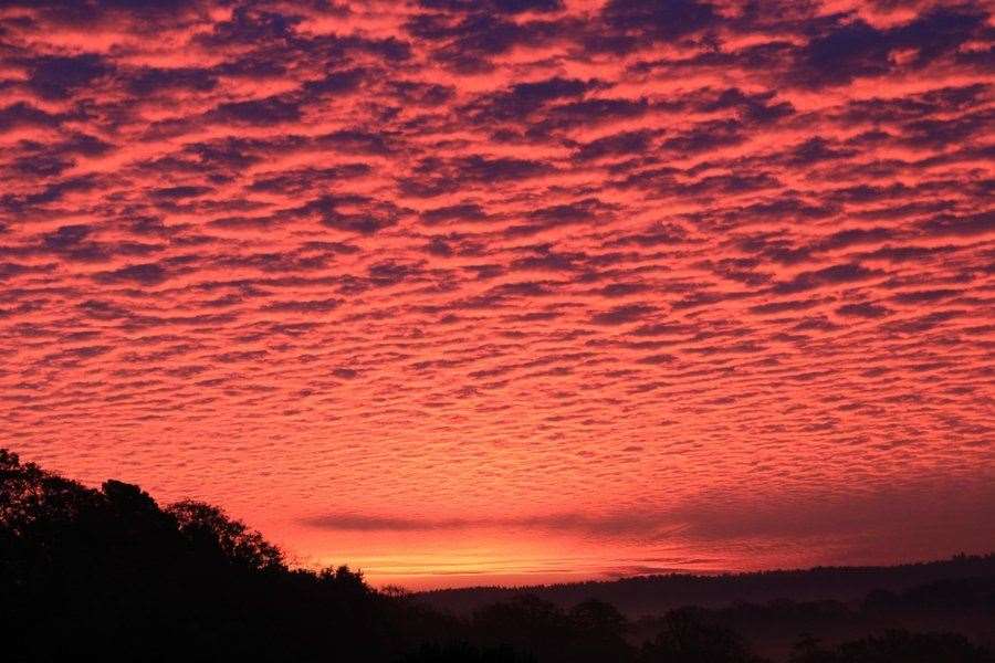 Jeremy Boxall took this stunning shot in Sissinghurst. Picture: @JeremyBoxall