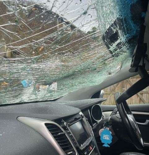 Mr Horne says the tree landed on the windscreen before bouncing off