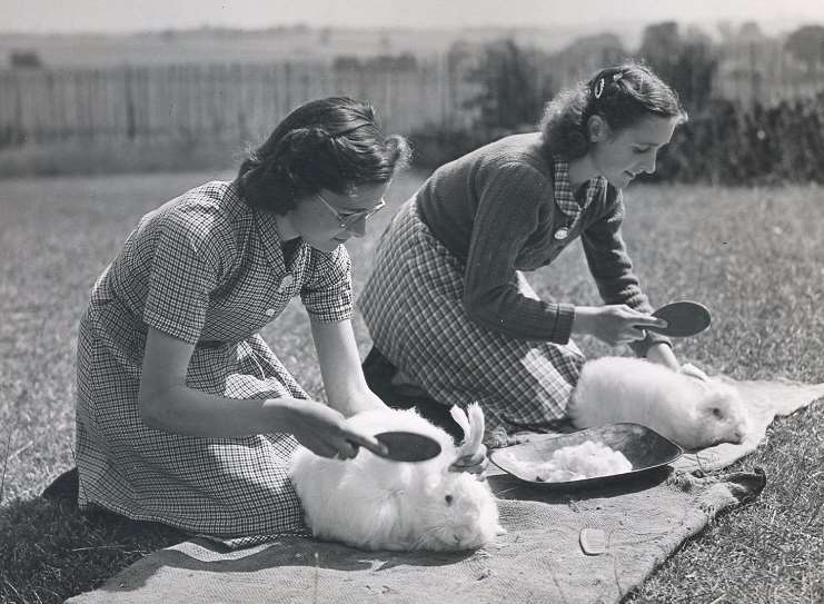 The school first had a farm in 1950. Picture courtesy of Emily Huddle