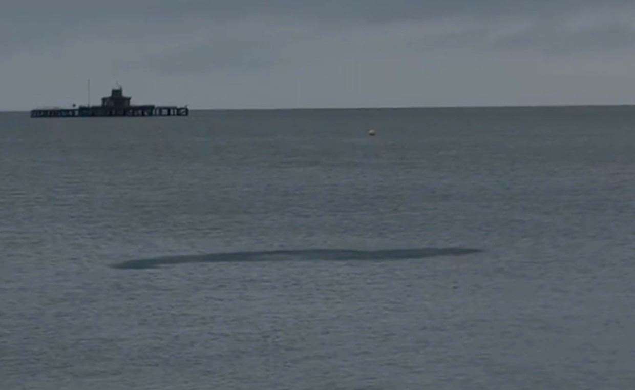 The 'monster' was seen in the sea at Herne Bay. Picture: Cheryl Manser