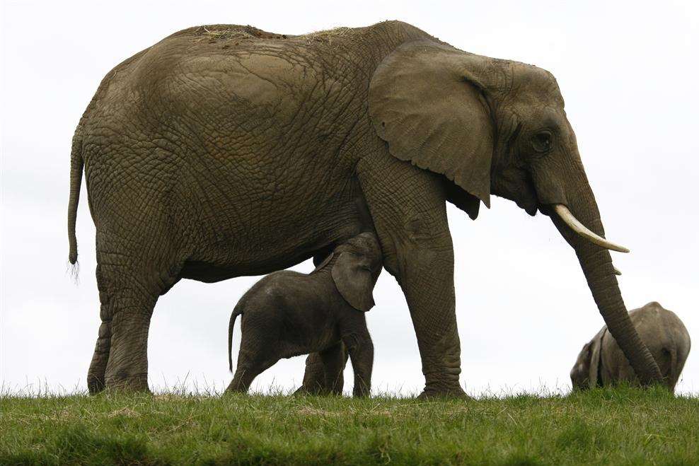 Mirembe with mum Tammi