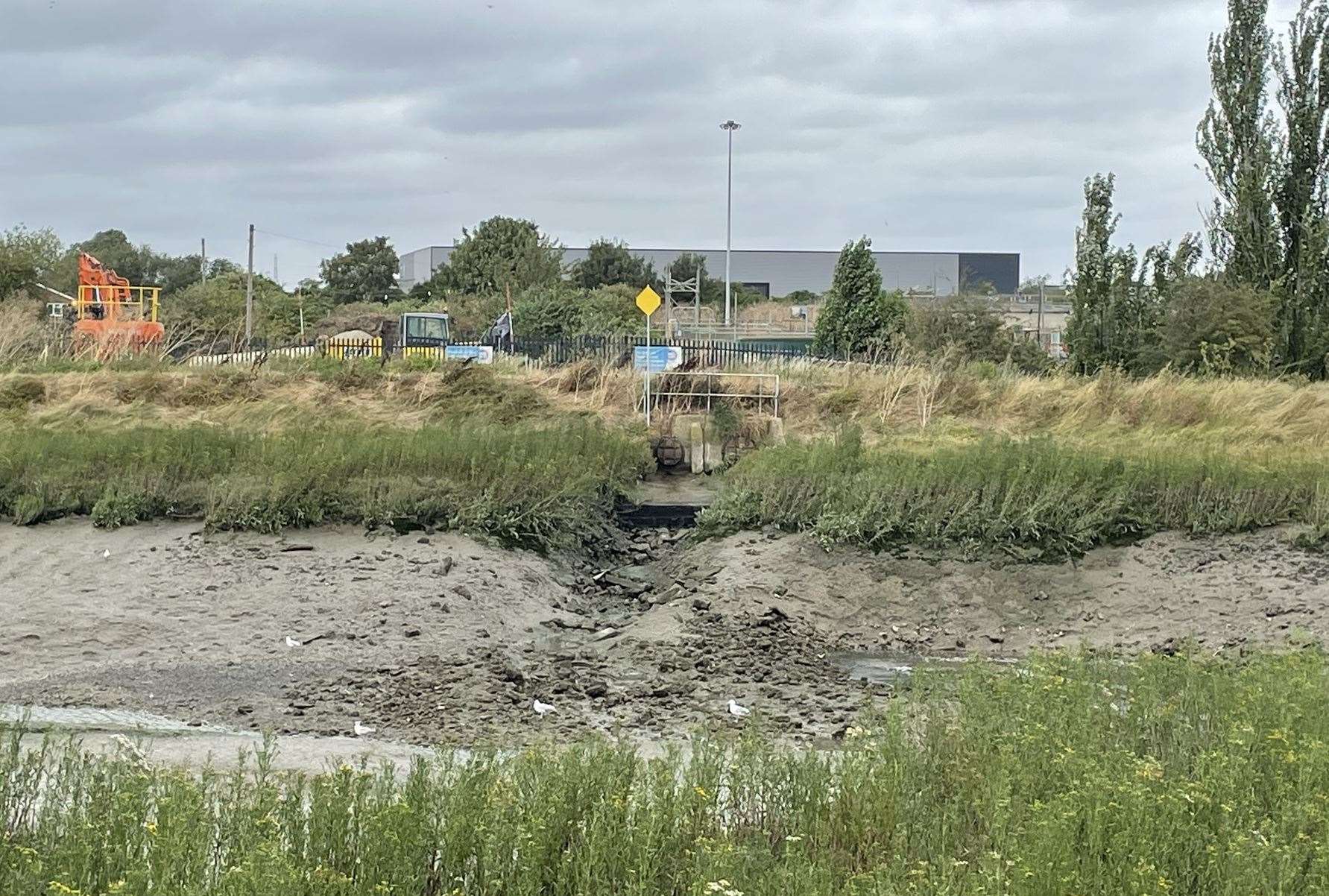 The outfall in Milton Creek where Gerry Lilley says pollution comes from. Picture: Joe Crossley