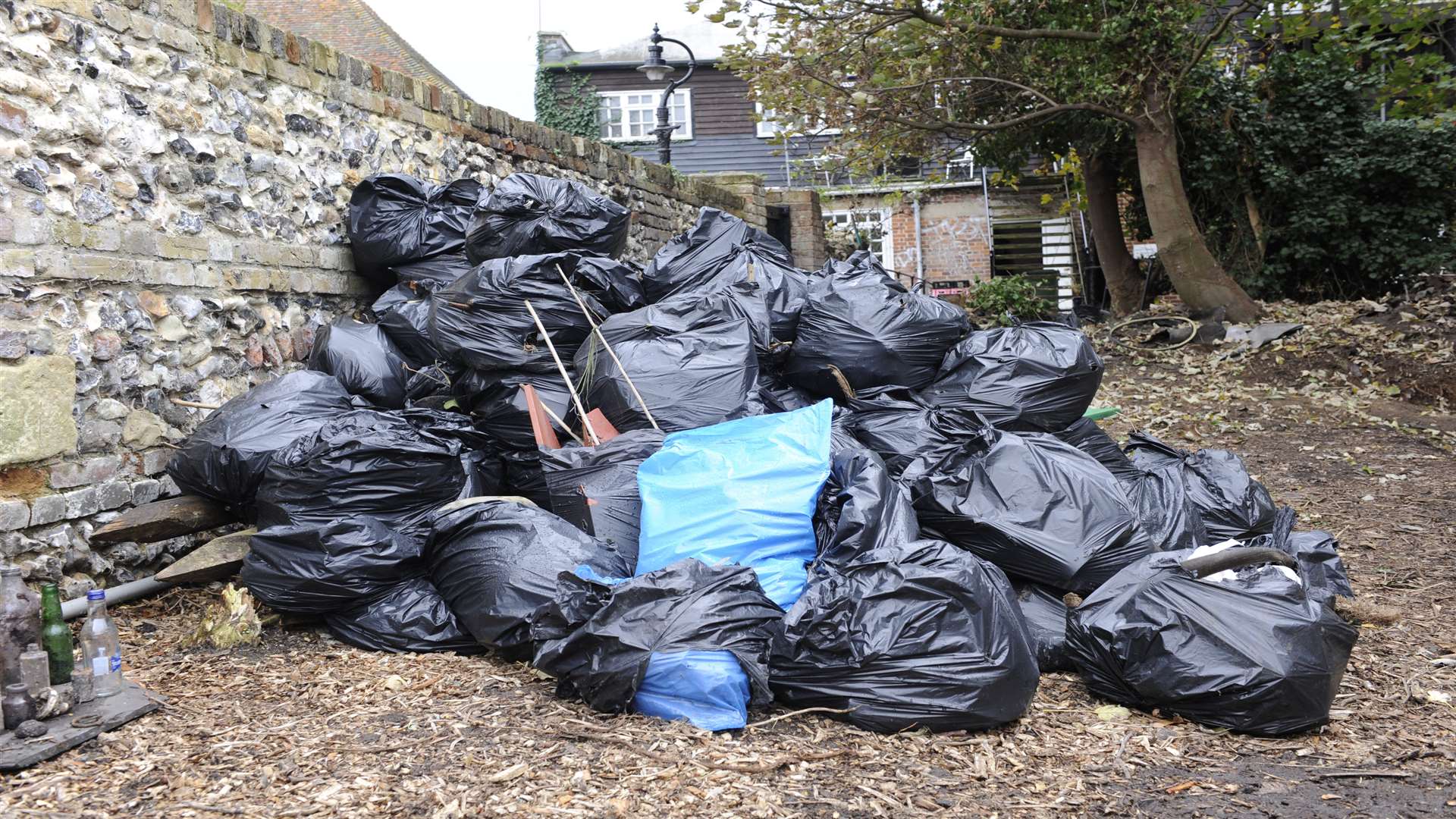 Bags of rubbish cleared from the plot