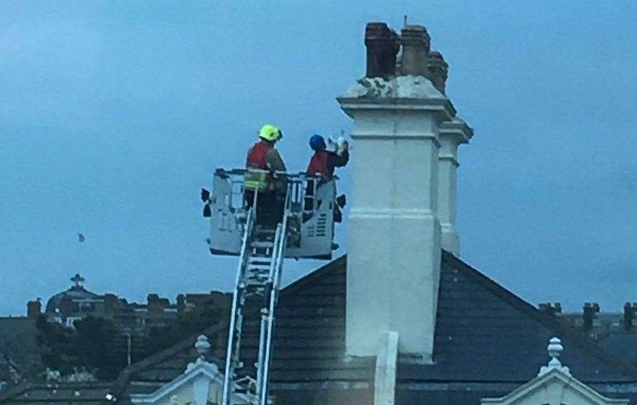 Firefighters used height ladders to reach the seagull. Picture credit: Danny Pope