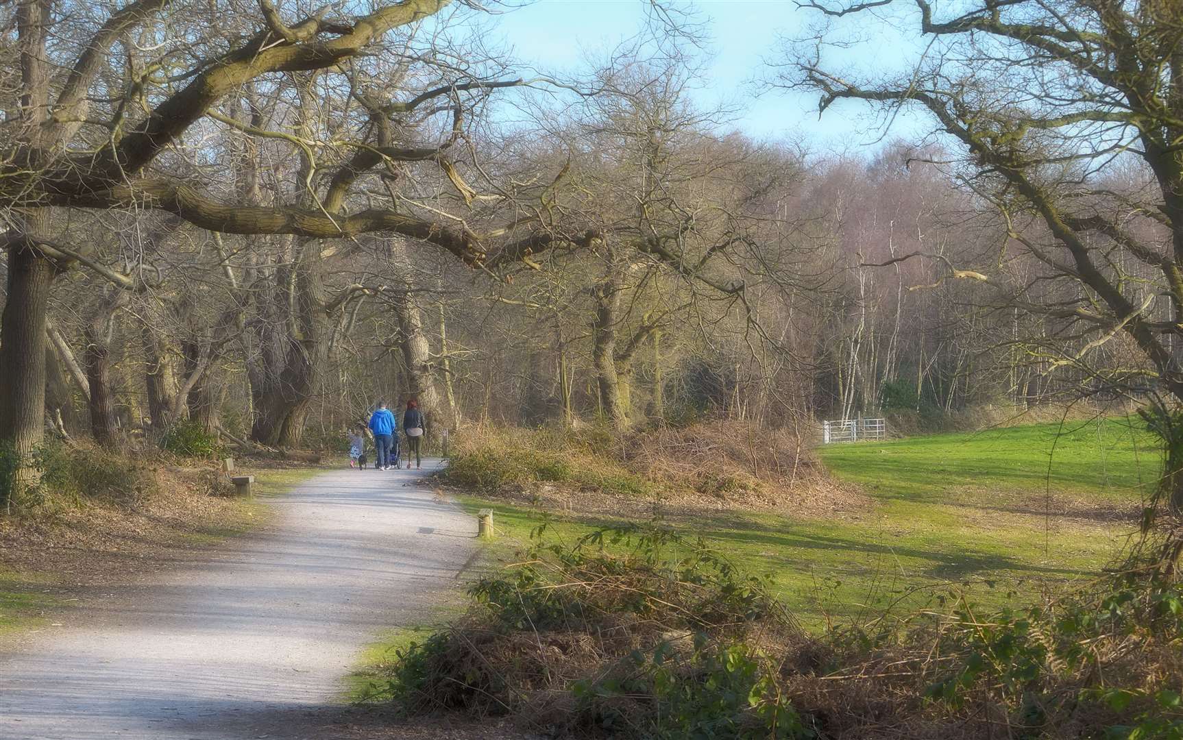 Shorne Woods Country Park