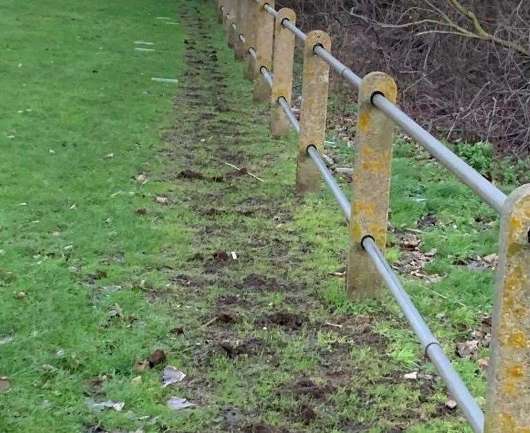 They were found gone on Wednesday morning. Picture: Swanscombe and Greenhithe Town Council