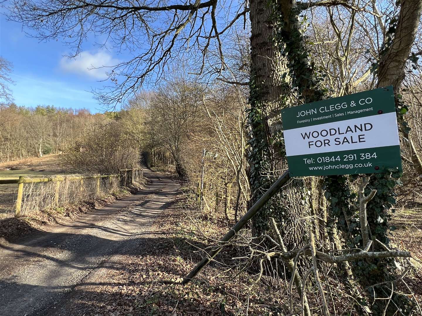 Covert Wood near Canterbury is set in an area of outstanding natural beauty in part of the larger Lyminge Forest. Picture: Barry Goodwin