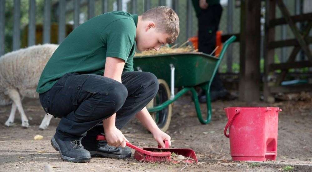 The team of experienced staff come from a wide range of industry backgrounds including zoo keeping, rearing and flying birds of prey and veterinary nursing.