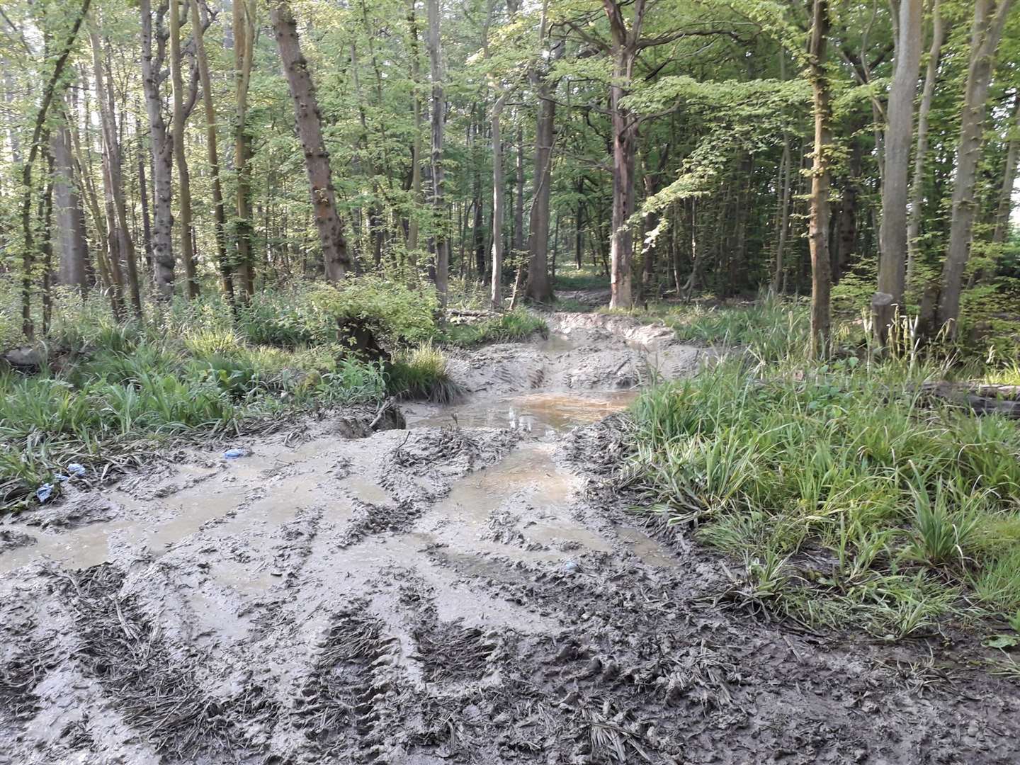 Vehicles driving through Hamstreet's woodland have caused damaged to the track