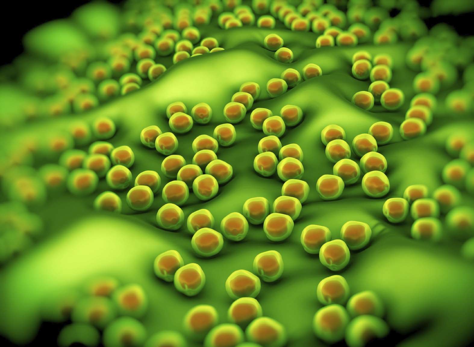 MRSA outbreaks at Dartford hospital. iStock image.