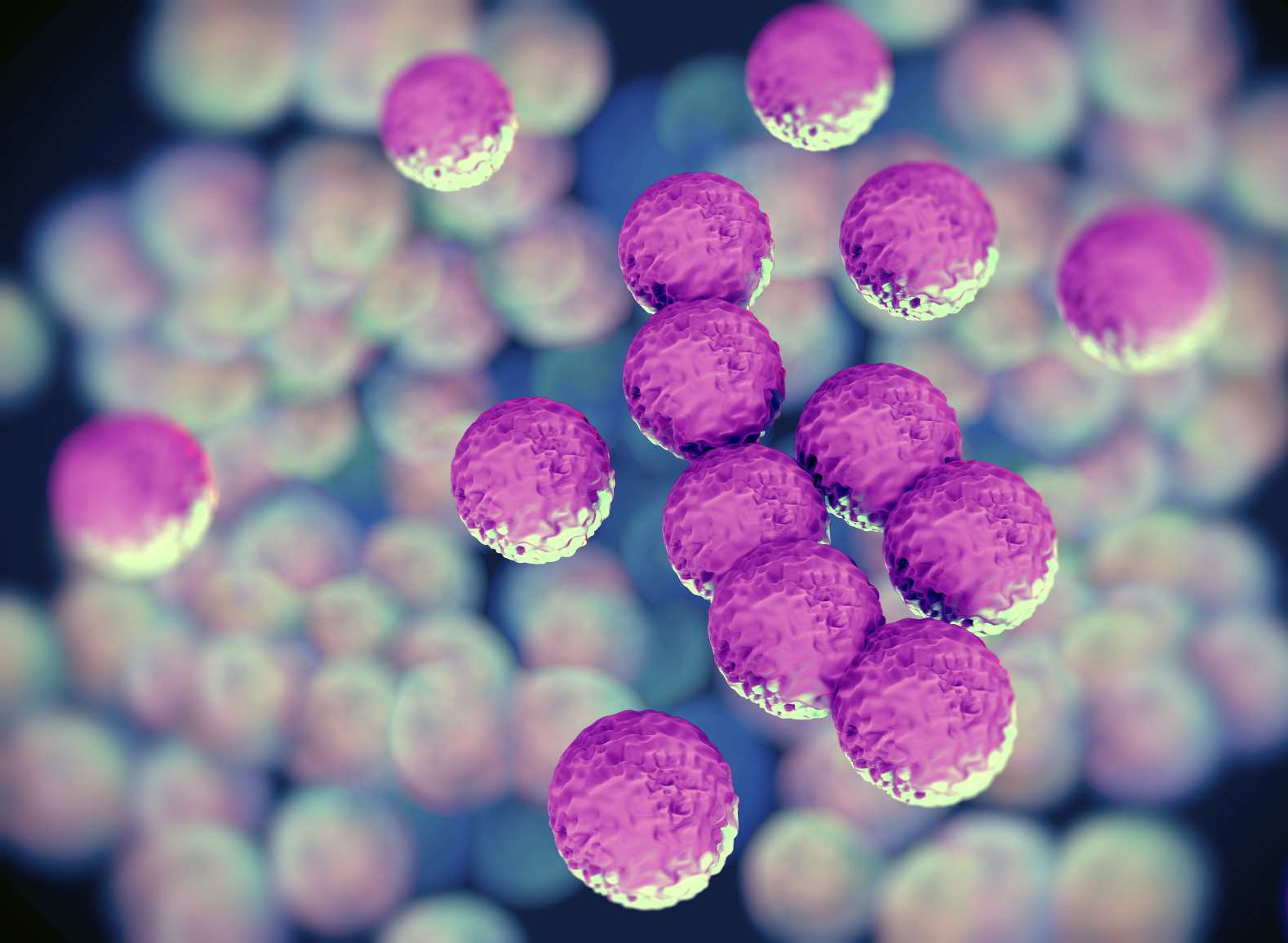 Cleanliness needs to improve after MRSA outbreaks at Dartford hospital. iStock image.