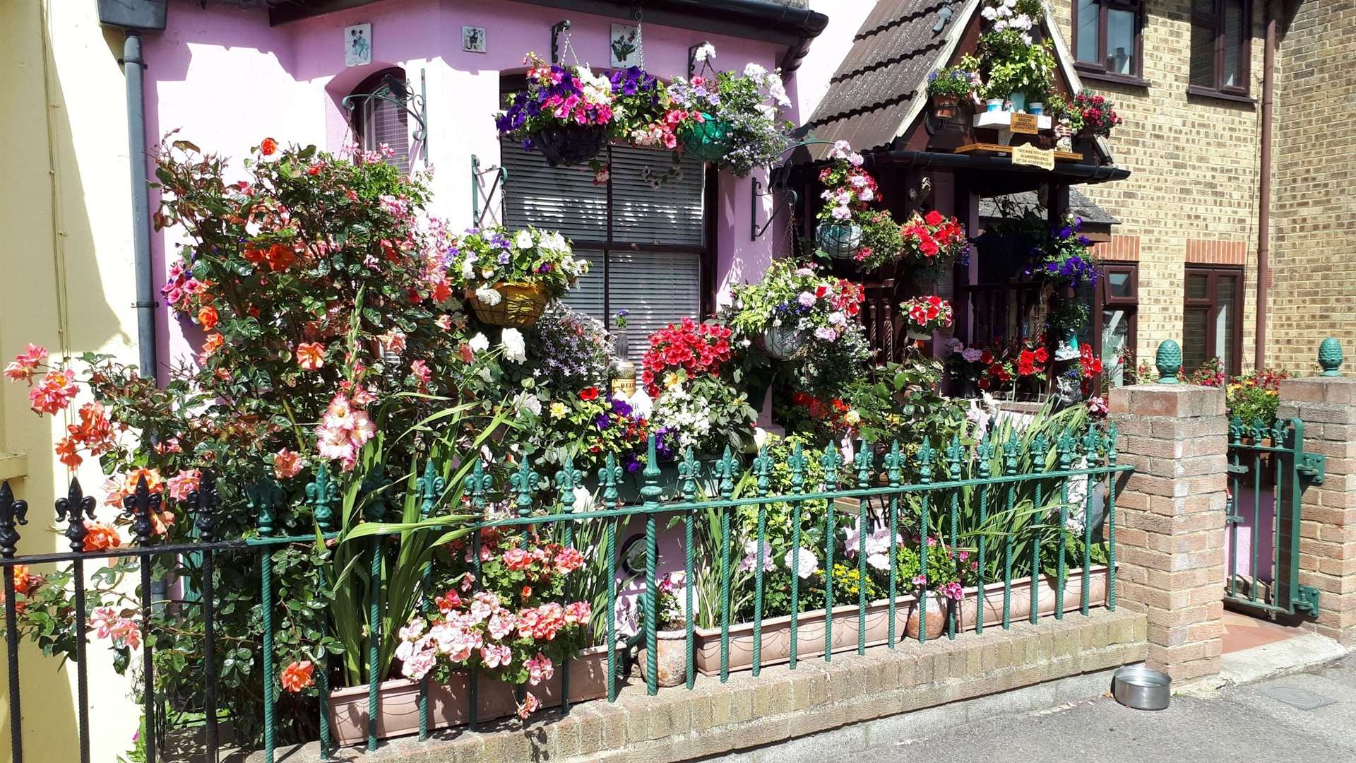 The garden of Mr R Heine of Cheriton Place which won Best use of Small Space in Lower Walmer