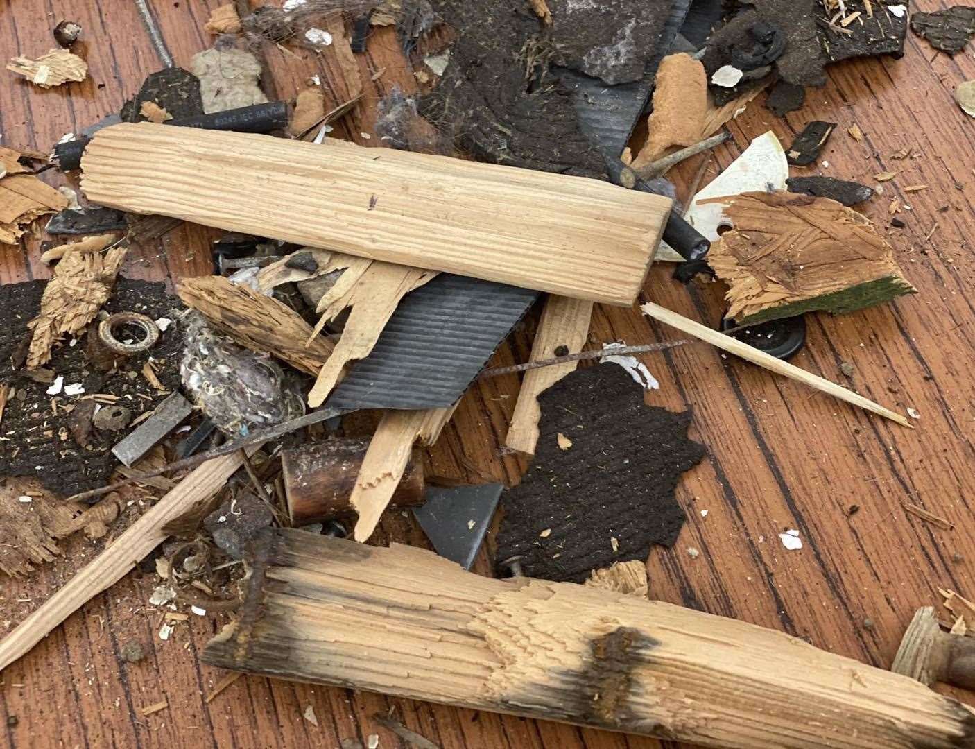 Some of the 'small' debris found to have fallen from the roof into the swimming pool. Picture: Sue Ferguson