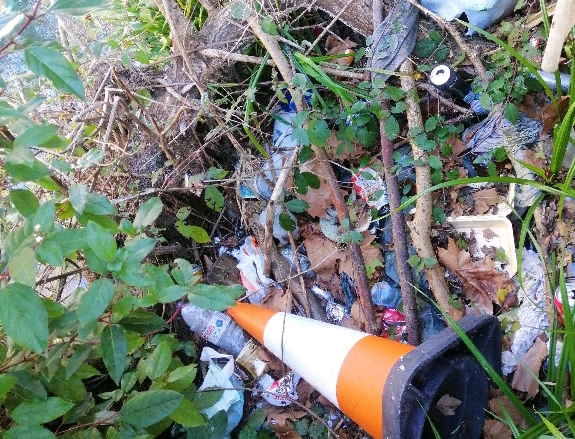 Litter on the bank of the Rootes millpond in the centre of town