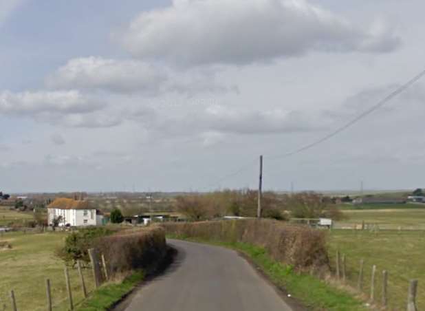 The swans were found off Monkshill Road in Graveney. Picture: Instant Street View