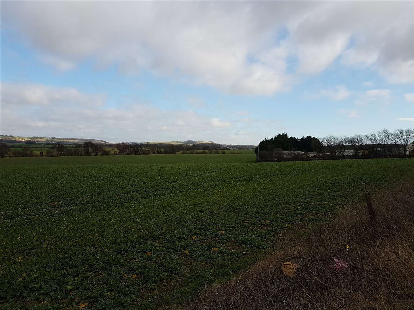 Land earmarked for Otterpool Park, taken near the Airport Cafe