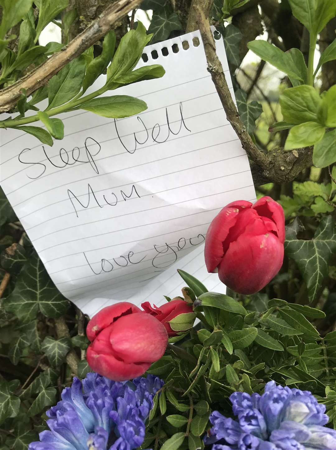 A poignant note was left by the roadside (8714142)