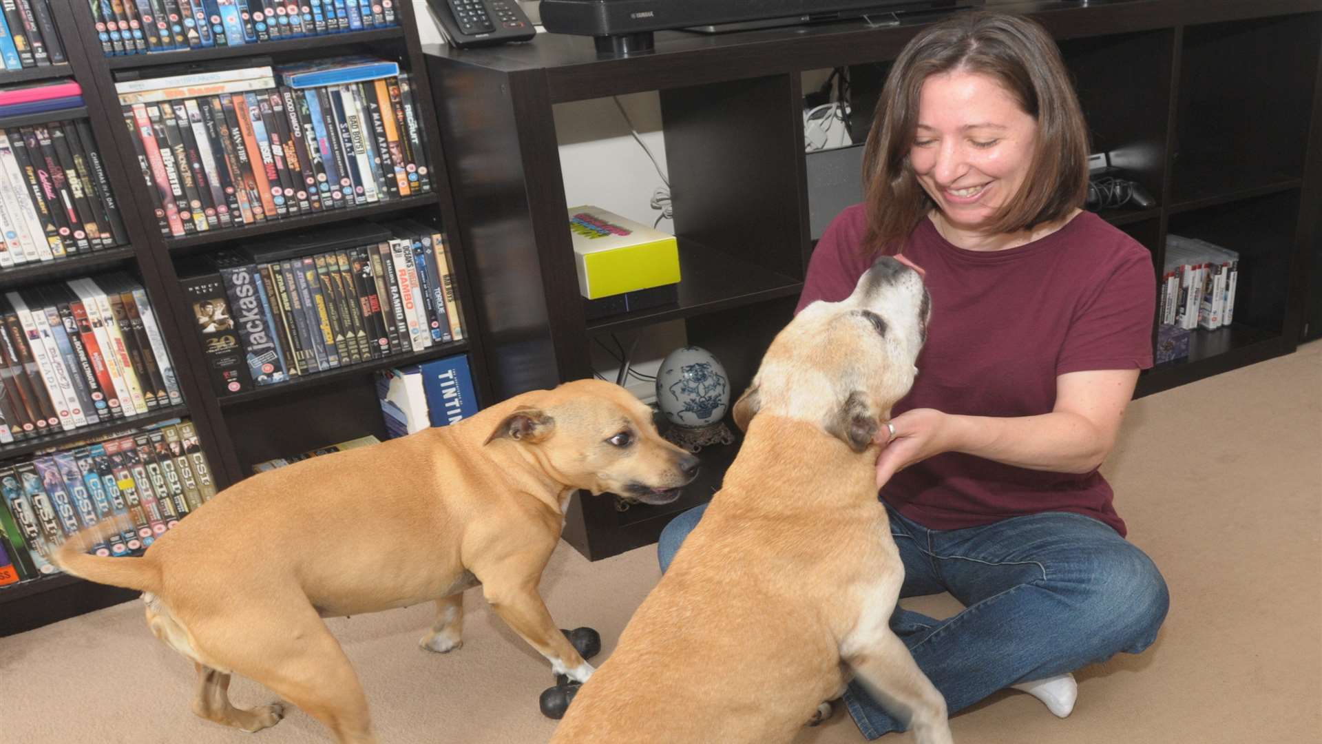 Jennie at home with Bailey and Gypsy. Pic by Brian Green