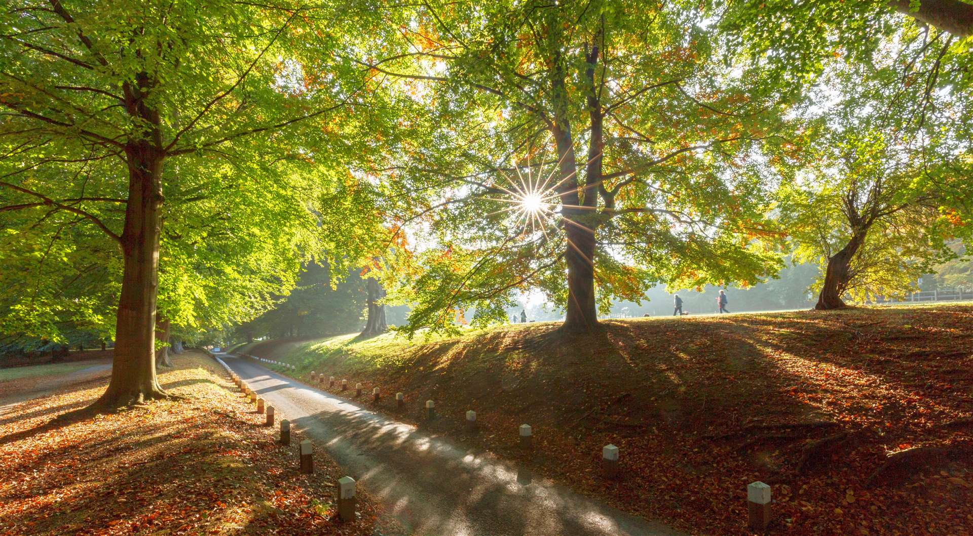 Mote Park is one of Kent’s largest free parks and has lots of walking trails beneath the trees