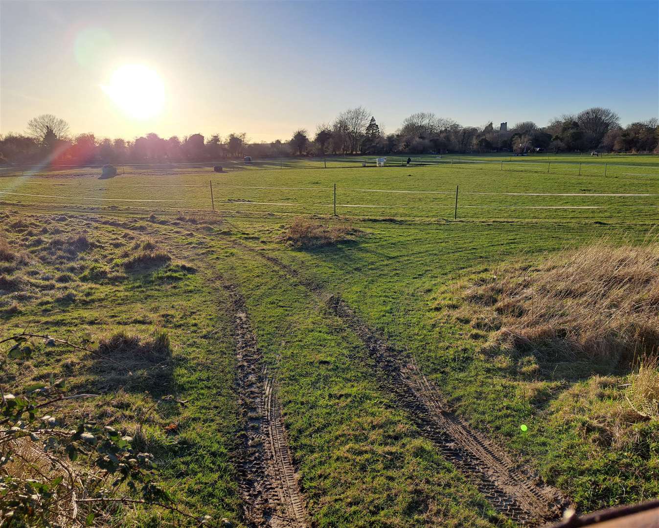 The horse field where the houses were planned off St Edmunds Road, Great Mongeham