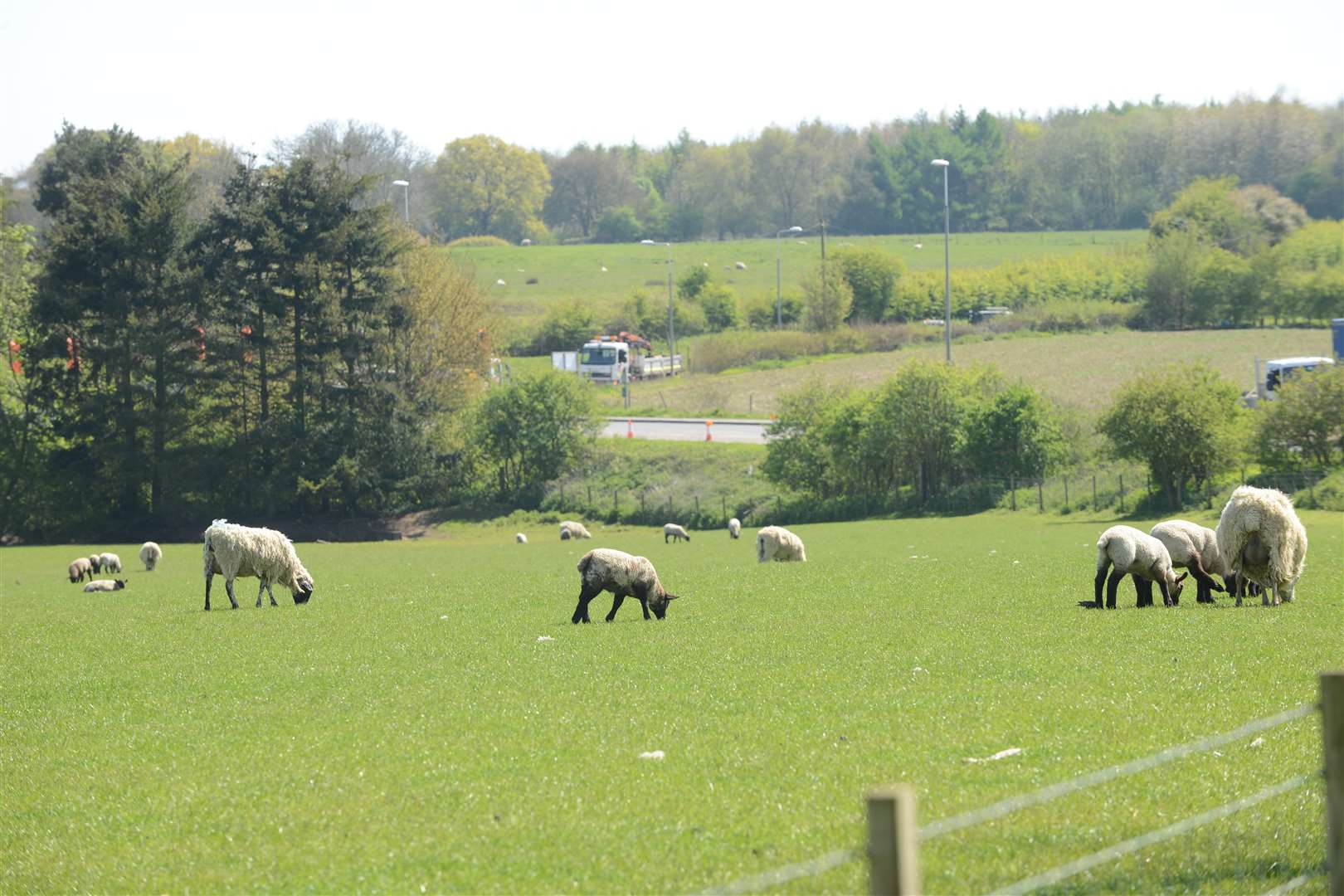 Part of what will become Otterpool Park at Barrow Hill in Sellindge, looking towards Otterpool Lane. Picture: Gary Browne