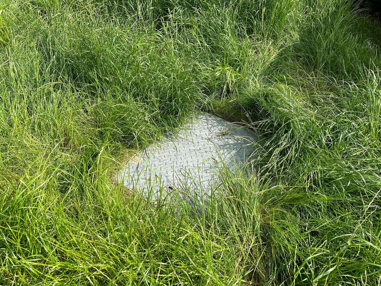 The tunnel entrance which is thought to be used as an ‘escape route’ for the Hales family