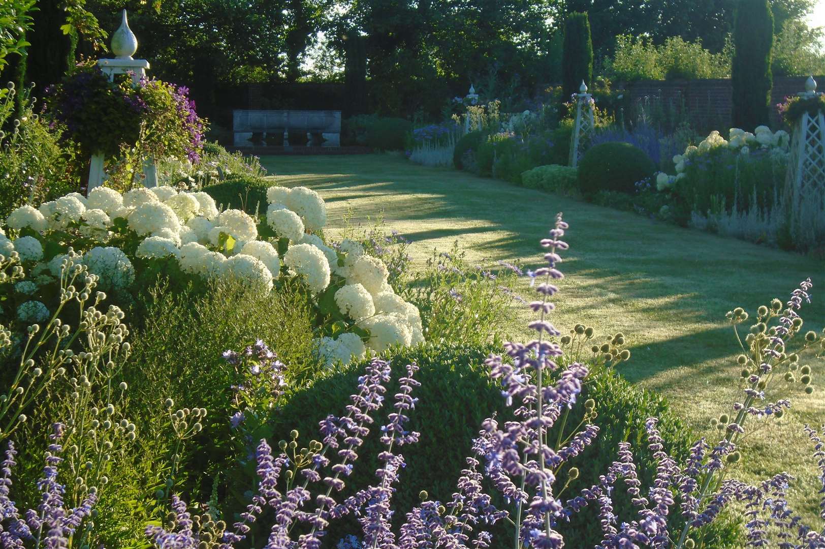 There are more than 90 traditional rose species in Old Bladbean Stud. Picture: National Garden Scheme