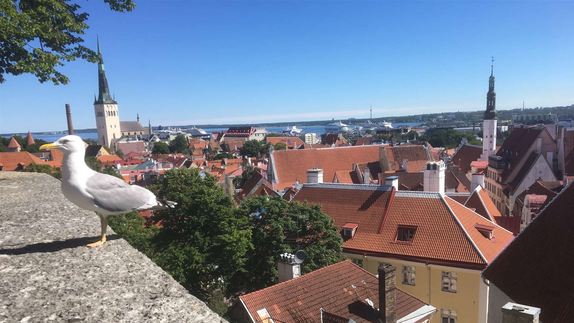 Tallinn, Estonia. Picture: Ed McConnell