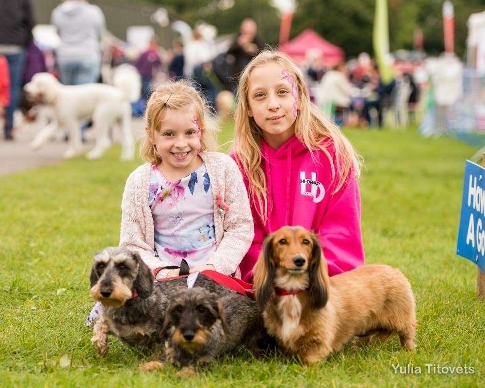 Pups of all sizes, shapes and abilities are welcome to join in the fun. Picture: Paws in the Park