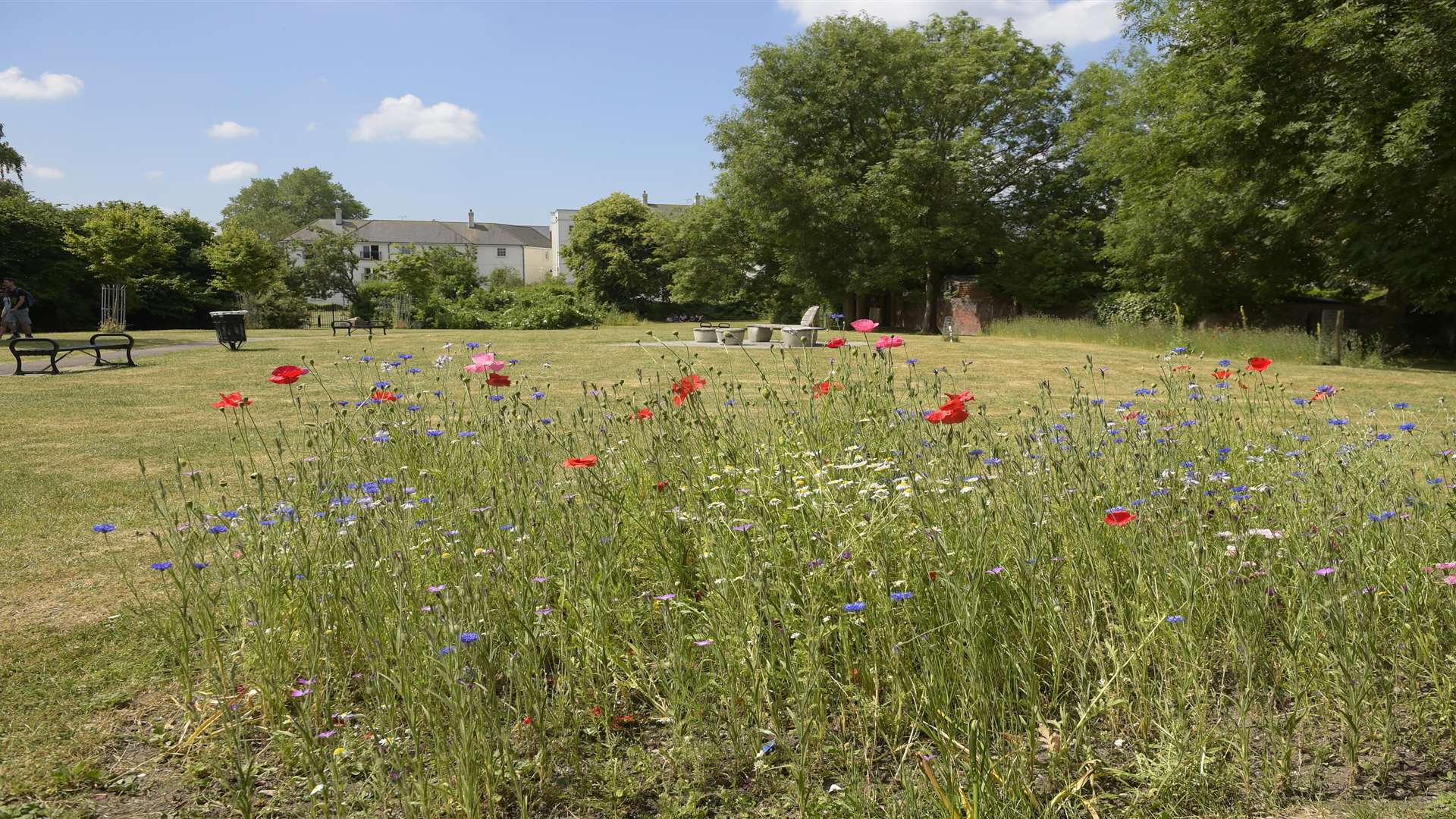 Canterbury is blessed with a rich variety of beautiful hidden gardens.