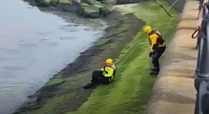 Pup rescued by firefighters in Herne Bay. Picture: Kent Fire and Rescue Service