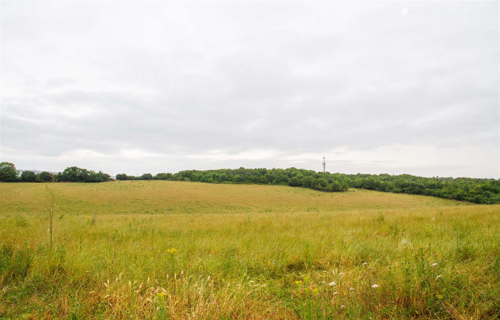 The council has bought Hazell’s Farm, Durndale Farm and Wingfield Bank Farm. Picture: Gravesham Borough Council