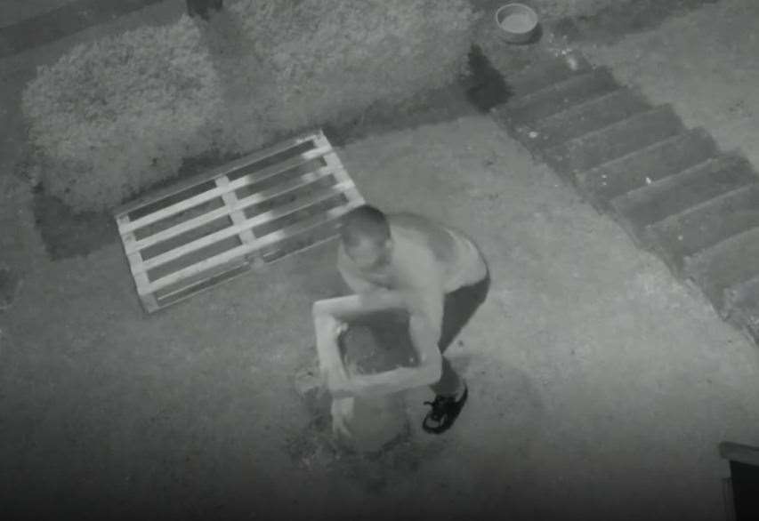 CCTV captures the moment a birdbath is stolen from the Wisteria Cat Rescue centre in Walderslade by a thief. Pictures: Billy Devitt/Wisteria Cat Rescue