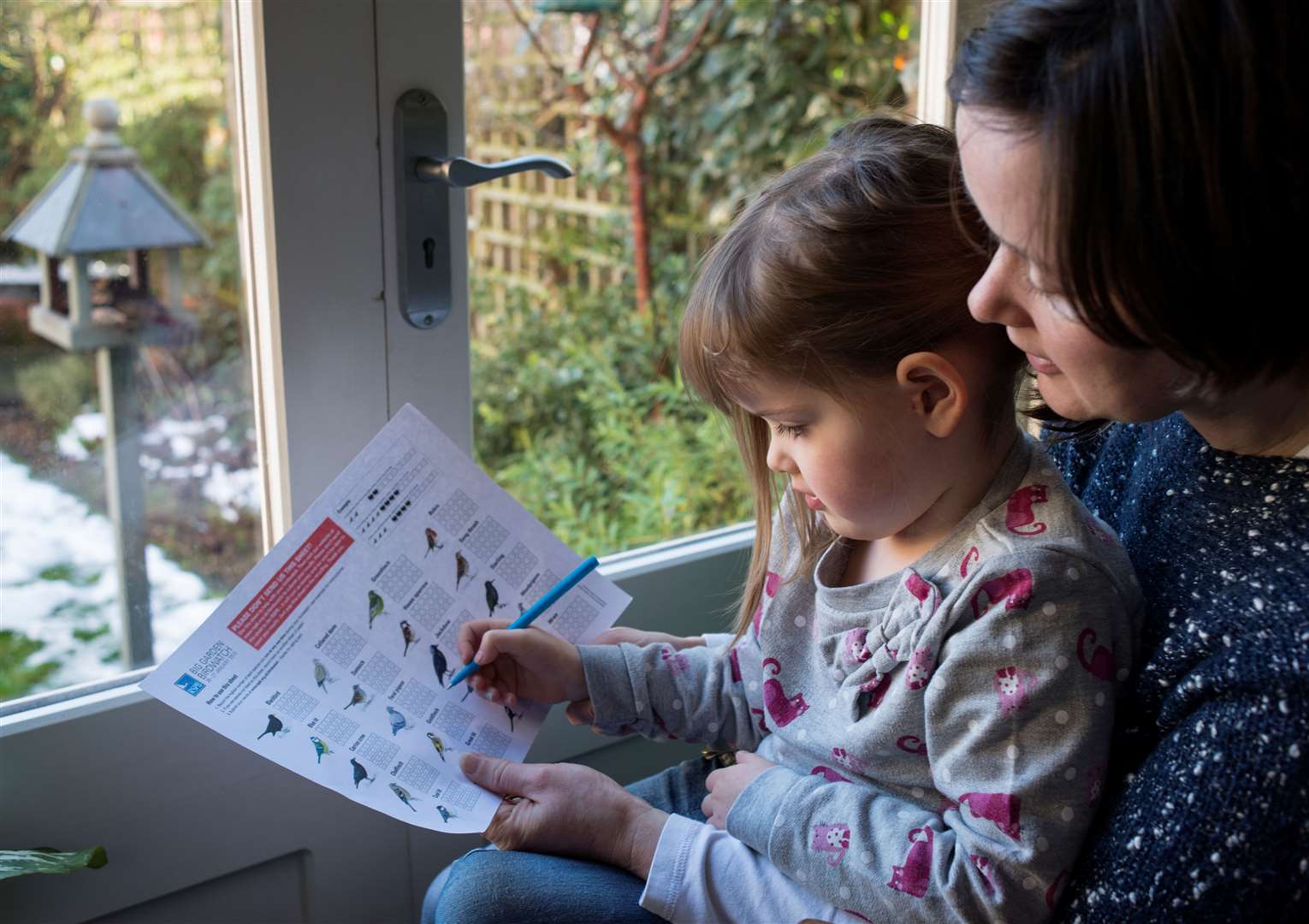 Households are required to count for just one hour. Image: Eleanor Bentall (RSPB images).