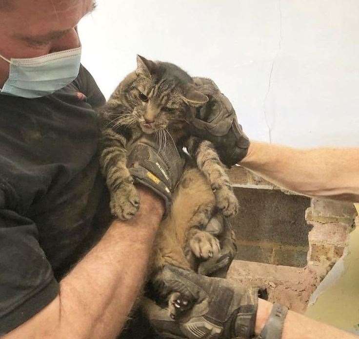 Ollie the cat after being rescued by firefighters in Broadstairs. Picture: Instagram/KFRS