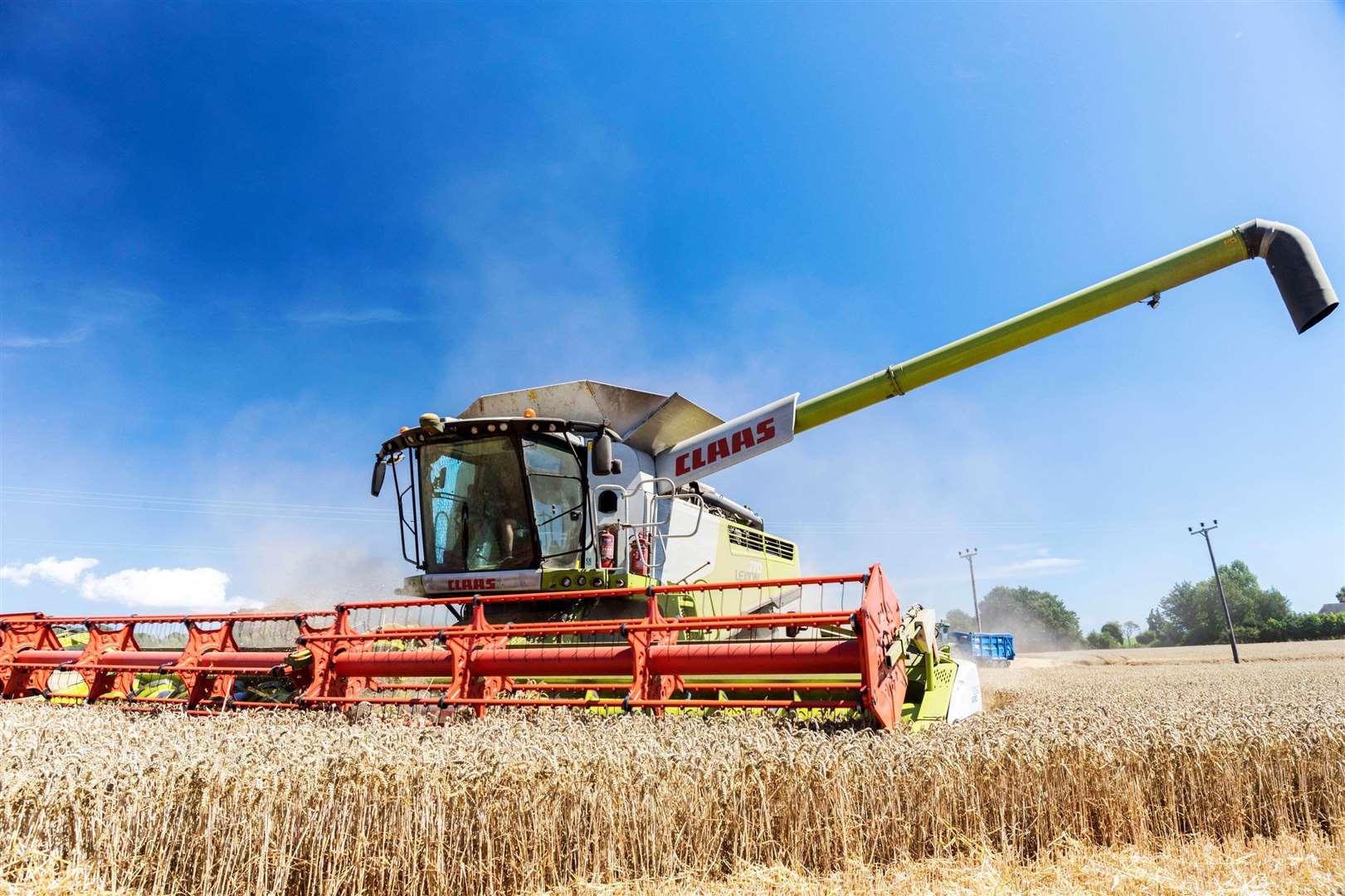 The harvest at Nonington Farm